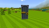 Minecraft Mario Mash-Up Birch Door.jpg