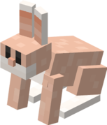 Rabbit - Super Mario Wiki, the Mario encyclopedia