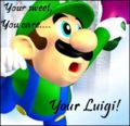 I'm Luigi