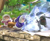 The Ice Climbers freeze Link with their Blizzard move from Super Smash Bros. Brawl