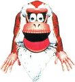 Donkey Kong Country