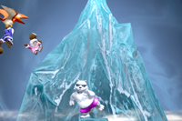 Ice Climber's Final Smash in Ultimate.