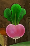Heart Turnip