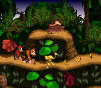 Jungle Hijinxs SNES 4.png