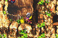 Dixie Kong holding a Steel Barrel at the Koin of Cliffside Blast in Donkey Kong Country 3 for Game Boy Advance