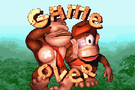 Donkey Kong Country (Game Boy Advance)
