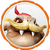 Elemental 219 Brawlrus.png