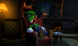 Luigi asleep at home.