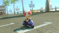 MK8CityTripperToad.jpg