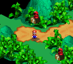 Second Treasure in Rose Way of Super Mario RPG: Legend of the Seven Stars.