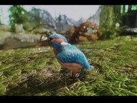 ShroomBirdsSkyrim13.jpg