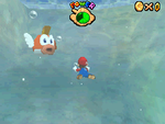 Bub model in Super Mario 64 (left) and a screenshot from Super Mario 64 DS (right)