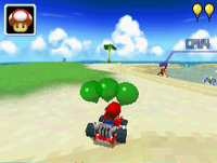 MKDS - Palm Shore.png