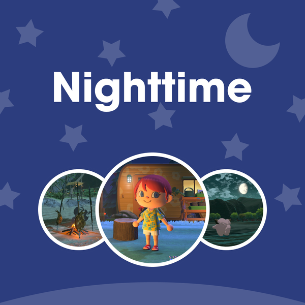 File:NM Nighttime PL.png