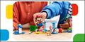 PN LEGO Super Mario beach sets 1.jpg
