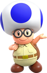 Brigade Blue Toad - Super Mario Wiki, the Mario encyclopedia