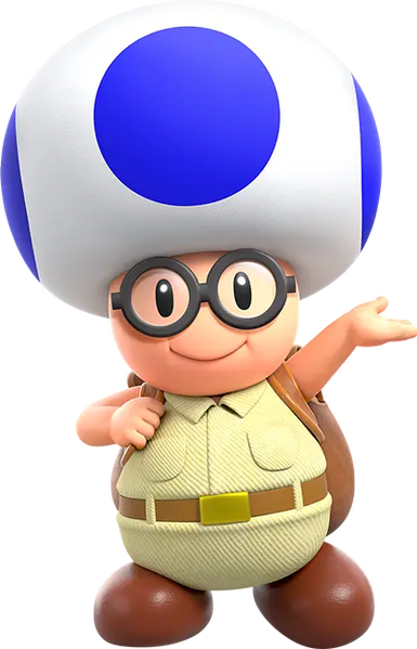 File:SMBW NS2E Brigade Blue Toad.png