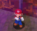 Mario in the Toxic Cloud in Super Mario 64 DS.
