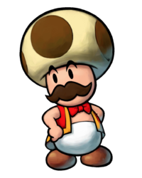 Toadsworth the Younger's artwork from Mario & Luigi: Partners in Time.