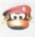 Dixie Kong's head