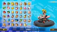 MK8D CSS.jpg