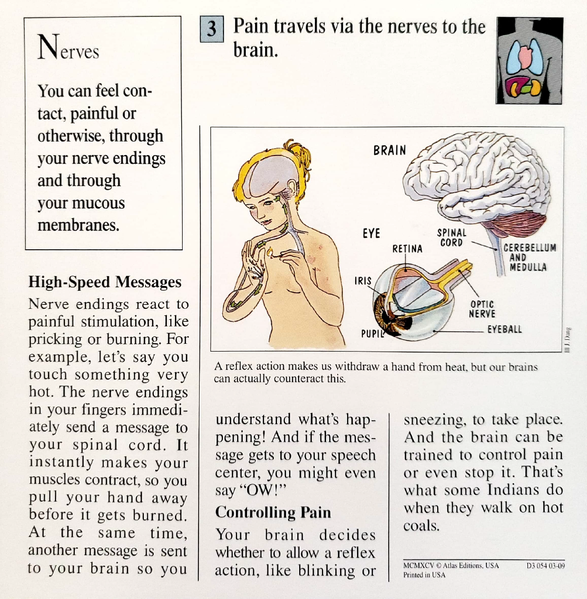 File:Pain quiz card back.png