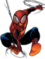 Spidey665 (requested)