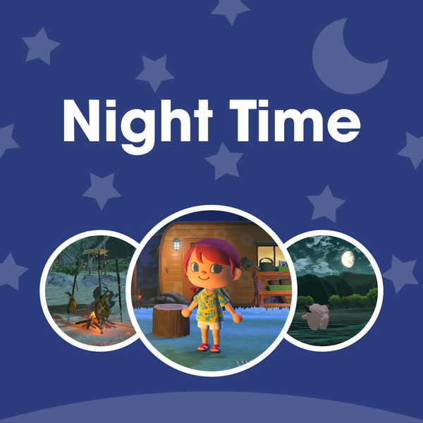 File:NM Nighttime PL V2 JP.png