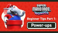 Nintendo com SMBW tips 1 banner.jpg