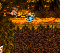 List of Donkey Kong Country 3: Dixie Kong's Double Trouble! glitches