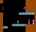 Super Mario Bros. 2 (World 3-1)