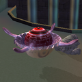 The exposed eye of a Laser Jigglefish