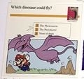 Flying dinosaur quiz card.jpg