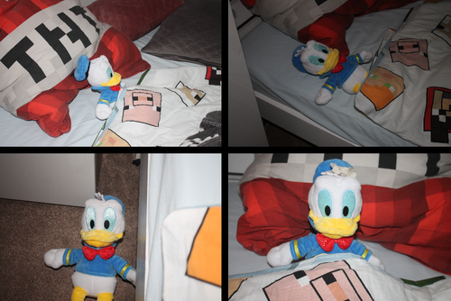 Four photographs are shown in comic format, arranged left to right, top to bottom. In the first, Donald Duck is asleep on a bed. In the second, Donald is almost off the side of the bed. In the third, Donald has fallen out of bed and is injured. The fourth and final panel shows Donald on the bed again but with a moistened paper tissue on his head.