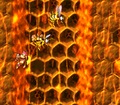 The Kongs grab onto a honey wall in a narrow area, with two Zingers overhead.