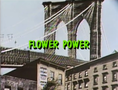 "Flower Power"