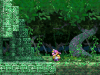 The entrance to Ancient Waterworks from Wario: Master of Disguise