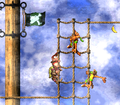 The Kongs climbing to the side of two Klingers, near the end of the level.
