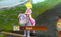 Princess Peach riding on a horse in Pro difficulty from Mario Sports Superstars