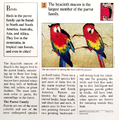 "What is a hyacinth macaw?" (back)