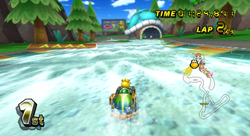 Wii Koopa Cape from Mario Kart Wii