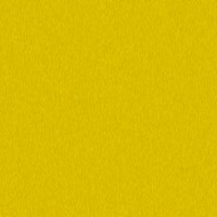 YWW Yellow Background Texture.jpg
