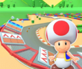 The course icon of the R/T variant with Toad