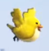 small bird