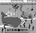 Turtle Zone