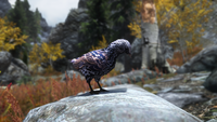 ShroomBirdsSkyrim2.png