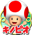 Toad