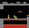 Fire Mario encounters the fake Bowser in World 1-4 of Super Mario Bros.