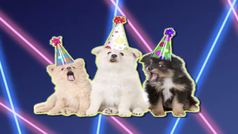 File:Shroom233 Birthday dogs.jpg