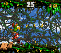 Diddy Kong, Dixie Kong and Squawks in the second Bonus Level in Bramble Blast in the SNES version
